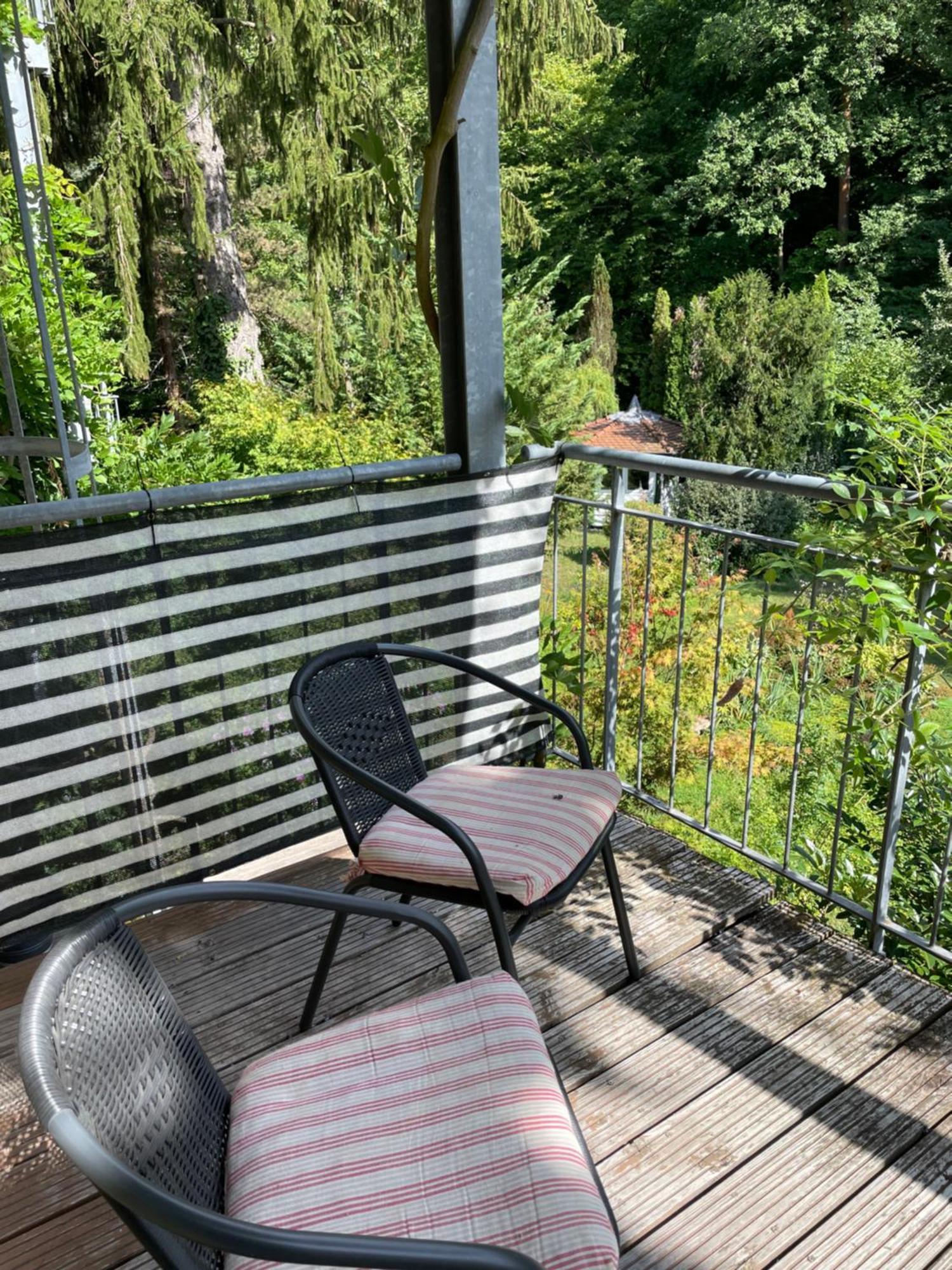 Stadt- Naturnah, Traumblick Und Balkon Baden-Baden Dış mekan fotoğraf
